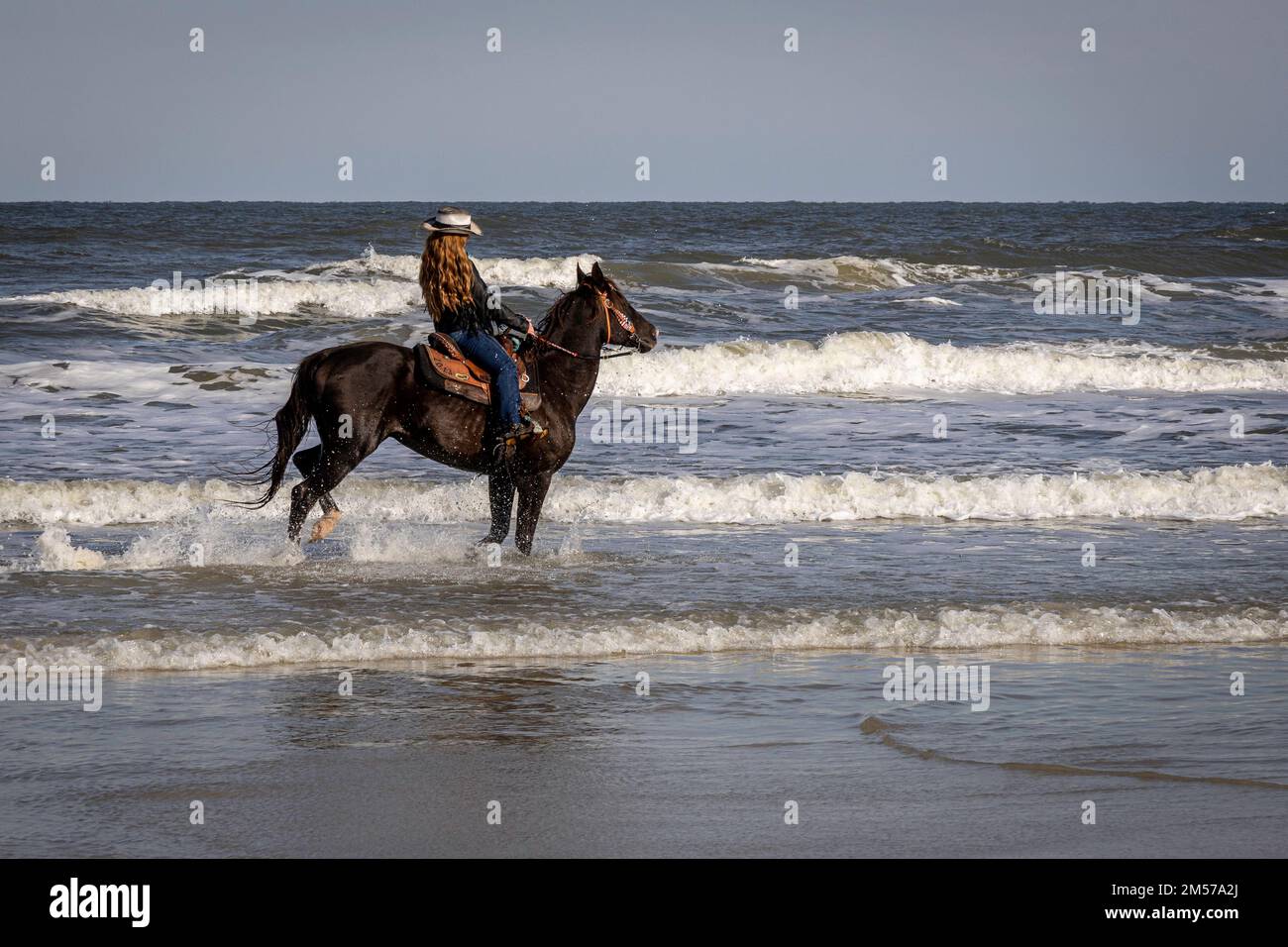 Horse and rider posing on a beach with the surf around them Stock Photo ...