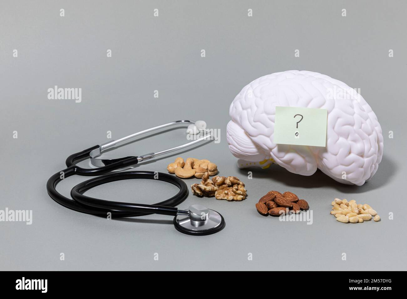 brain health and dementia series brain miniature, stethoscope, nuts