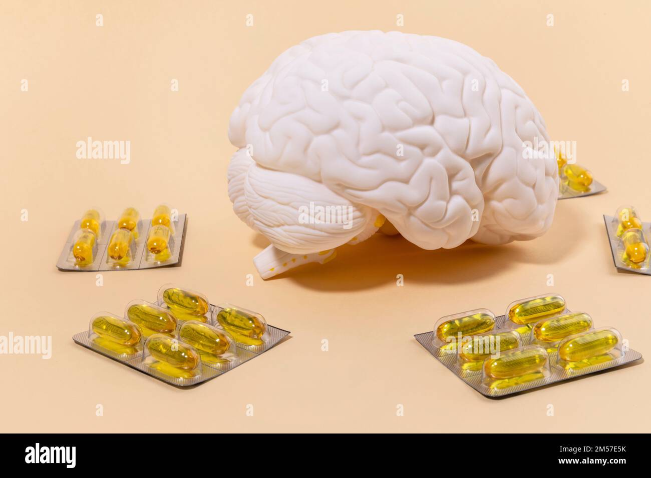 brain health and dementia series brain miniature and omega 3 Stock