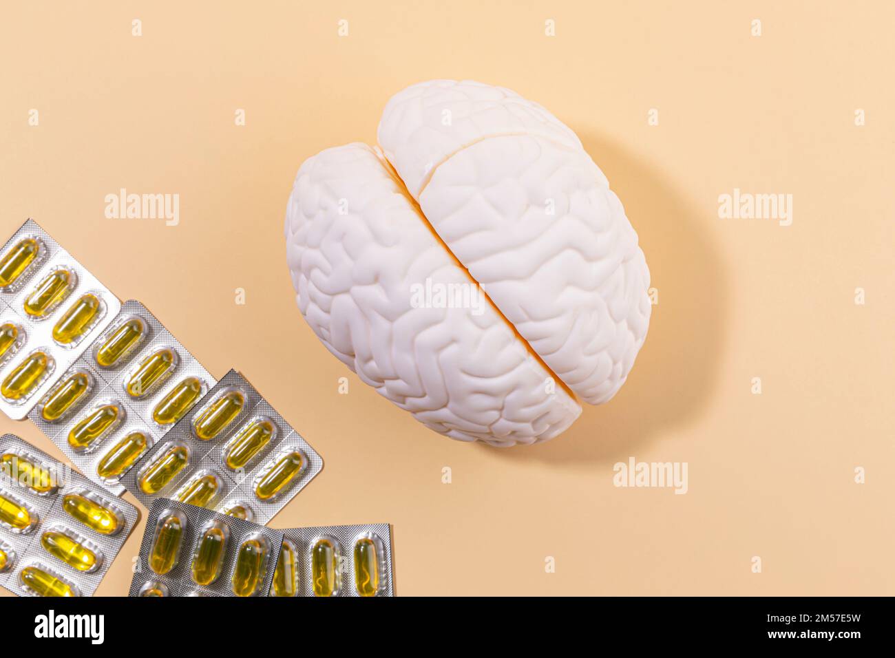 brain health and dementia series brain miniature and omega 3 Stock