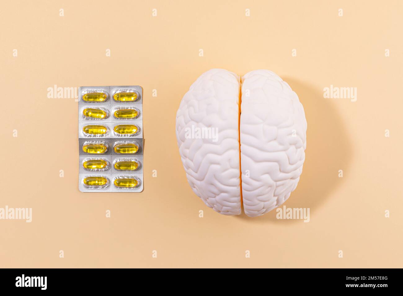 brain health and dementia series brain miniature and omega 3 Stock