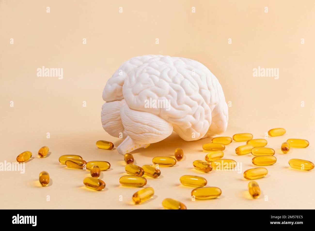 brain health and dementia series brain miniature and omega 3 Stock