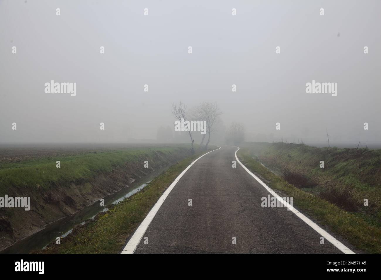 Tree  by the edge of an irrigation channel next to a country road on a foggy day in winter Stock Photo