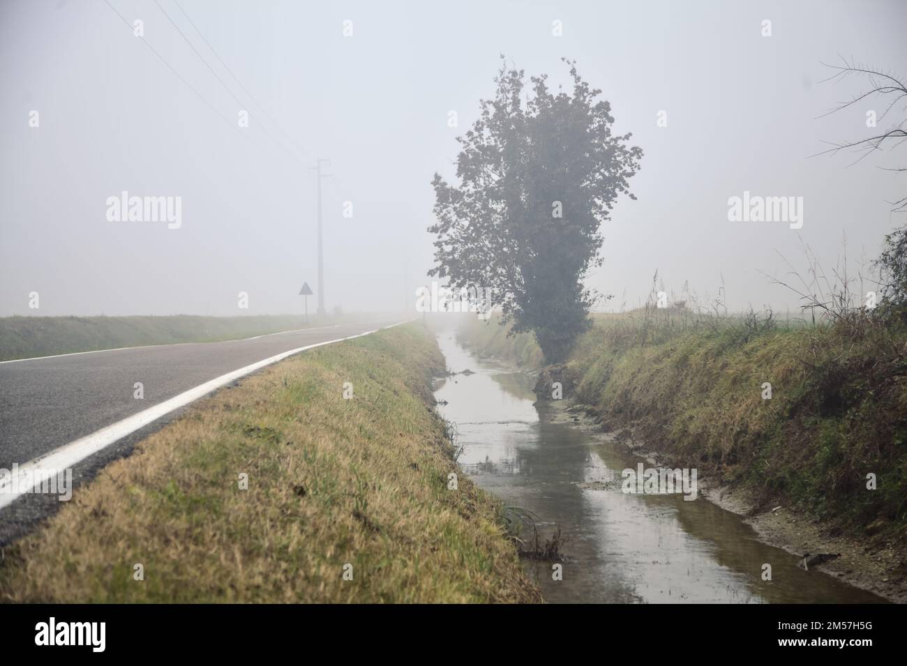 Tree  by the edge of an irrigation channel next to a country road on a foggy day in winter Stock Photo