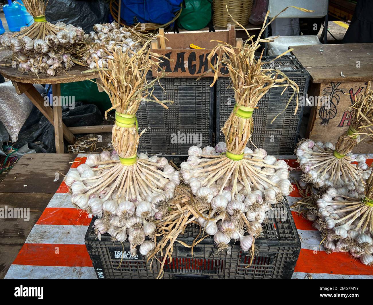 Bunches of garlic at a market in Oaxaca, Mexico Stock Photo Alamy