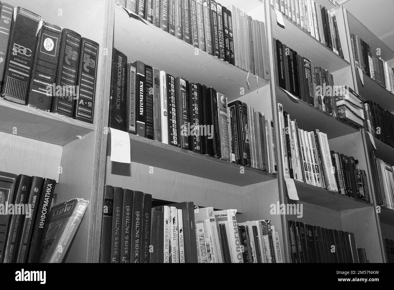 Chapaevsk, Samara region, Russia - December 24, 2020: Books on a shelf in the library. Black and white photo Stock Photo
