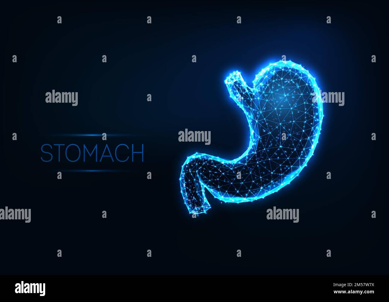 Dark dots on abdomen Stock Vector Images Alamy