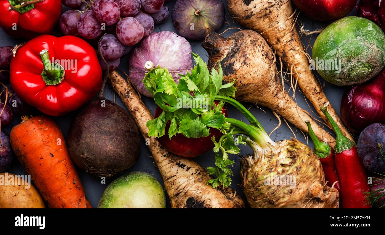 Food background with vegetables, root crops and fruits: celery, carrots ...