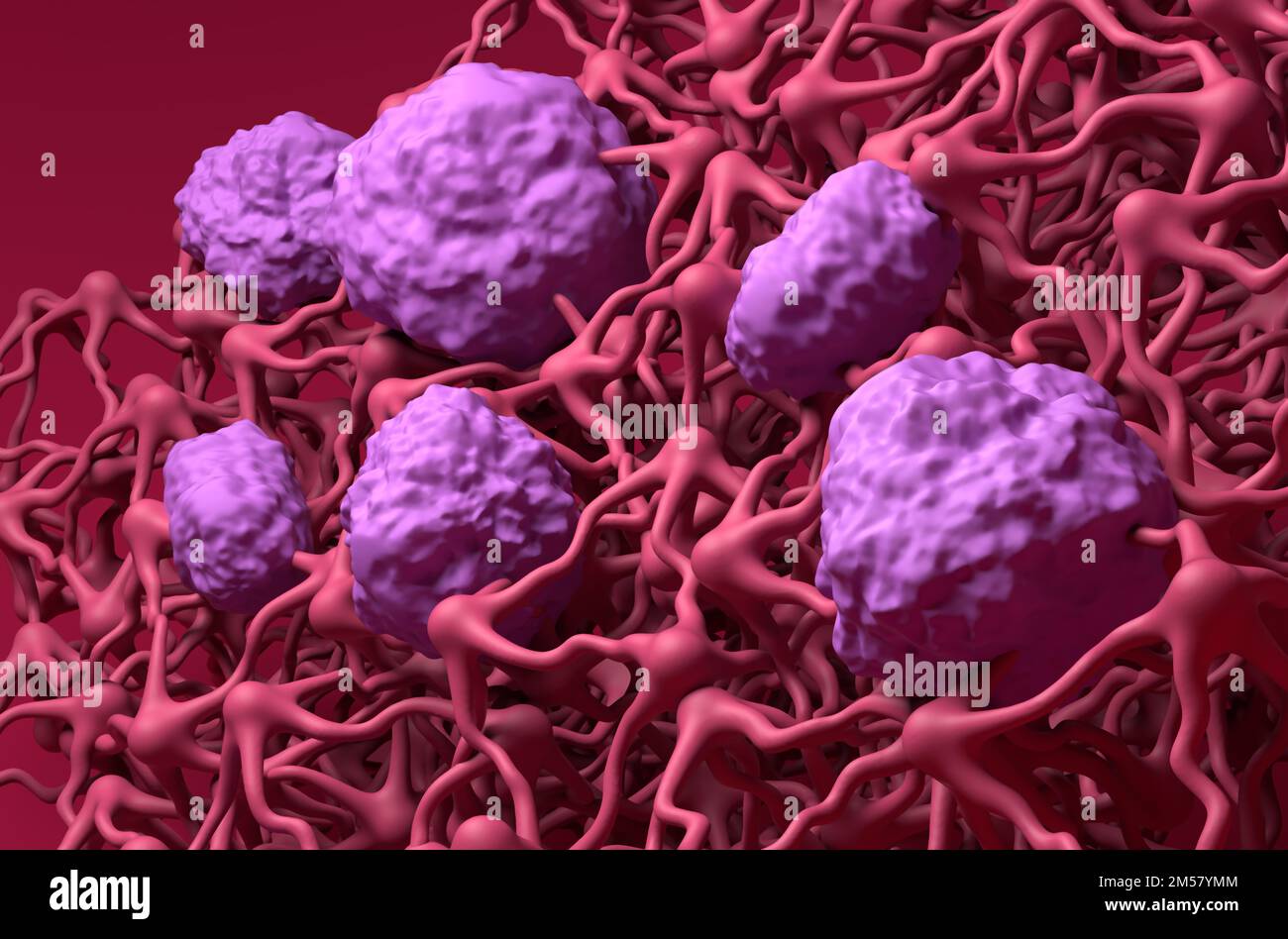 Blood-brain barrier (BBB) in the human brain - closeup view 3d