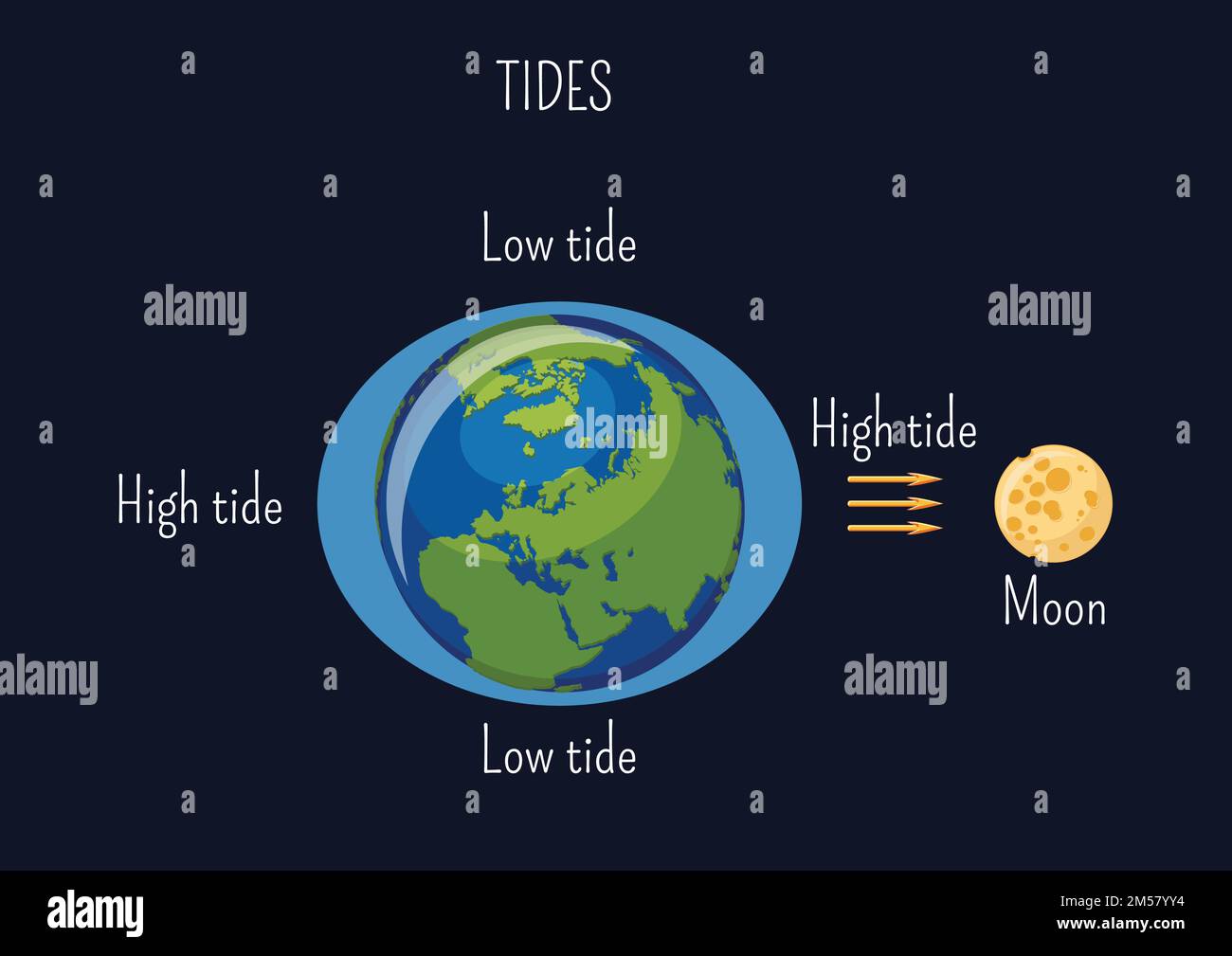 Low and high lunar tides diagram. Effect of Moon gravitational force on seacoast water level. Astronomy, geography science for kids. Cartoon style vec Stock Vector