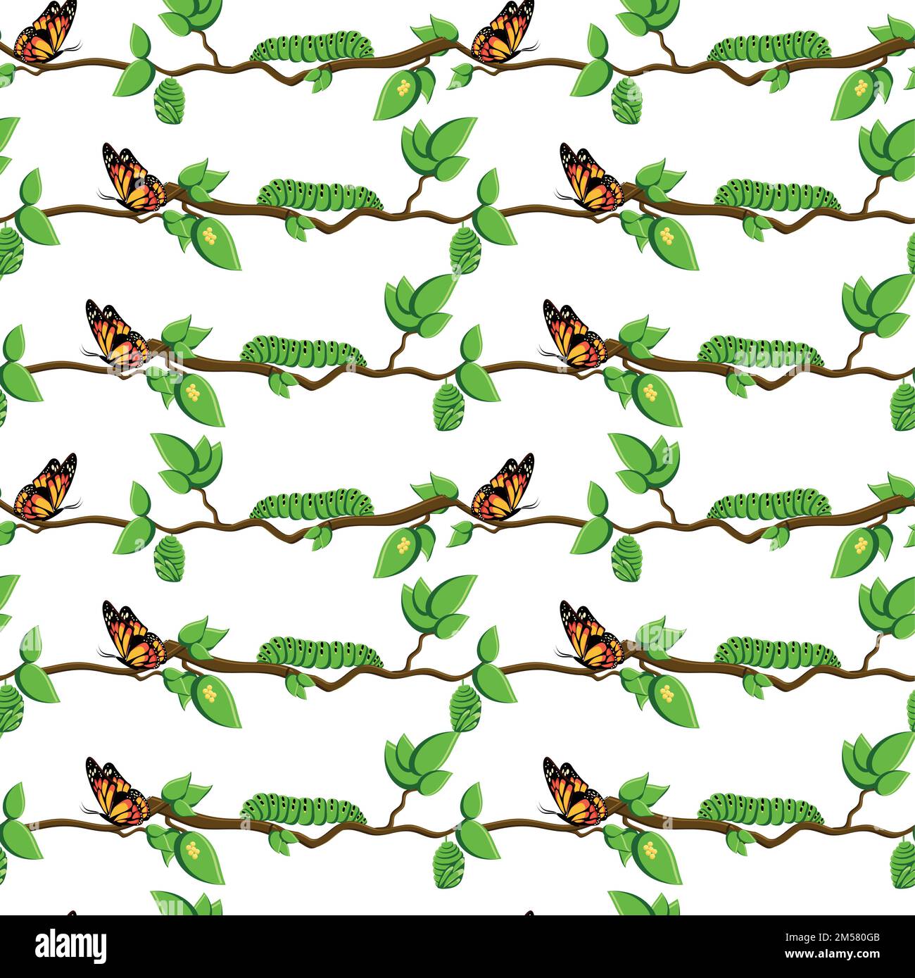 Life cycle of butterfly, metamorphosis seamless pattern. Butterfly, eggs, pupa, caterpillar on tree branch and leaves isolated on white background. Ca Stock Vector