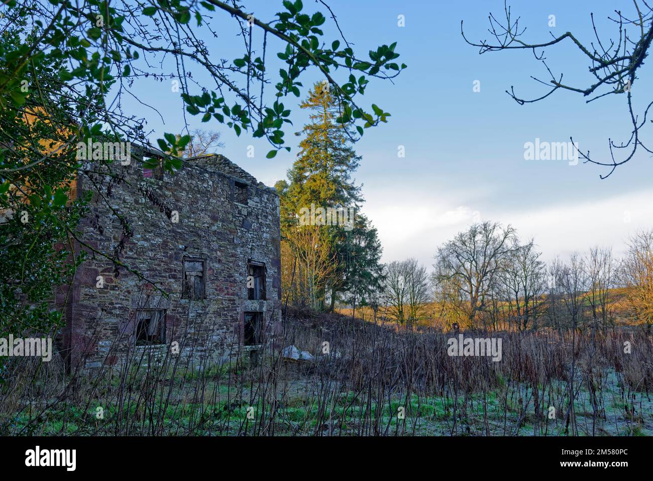 The derelict stone built Mill of Colliston, long abandoned and falling into ruin, near to the Burn which supplied it with ready water. Stock Photo