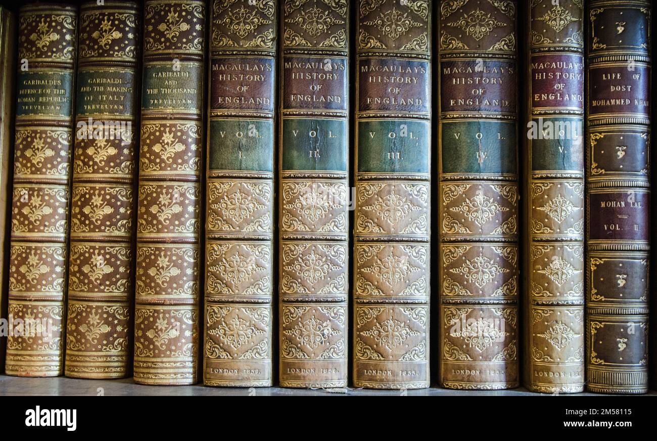Vintage, leather-bound history books including volumes of Macaulay's History of England and Trevelyan's accounts of Garibadi. Stock Photo