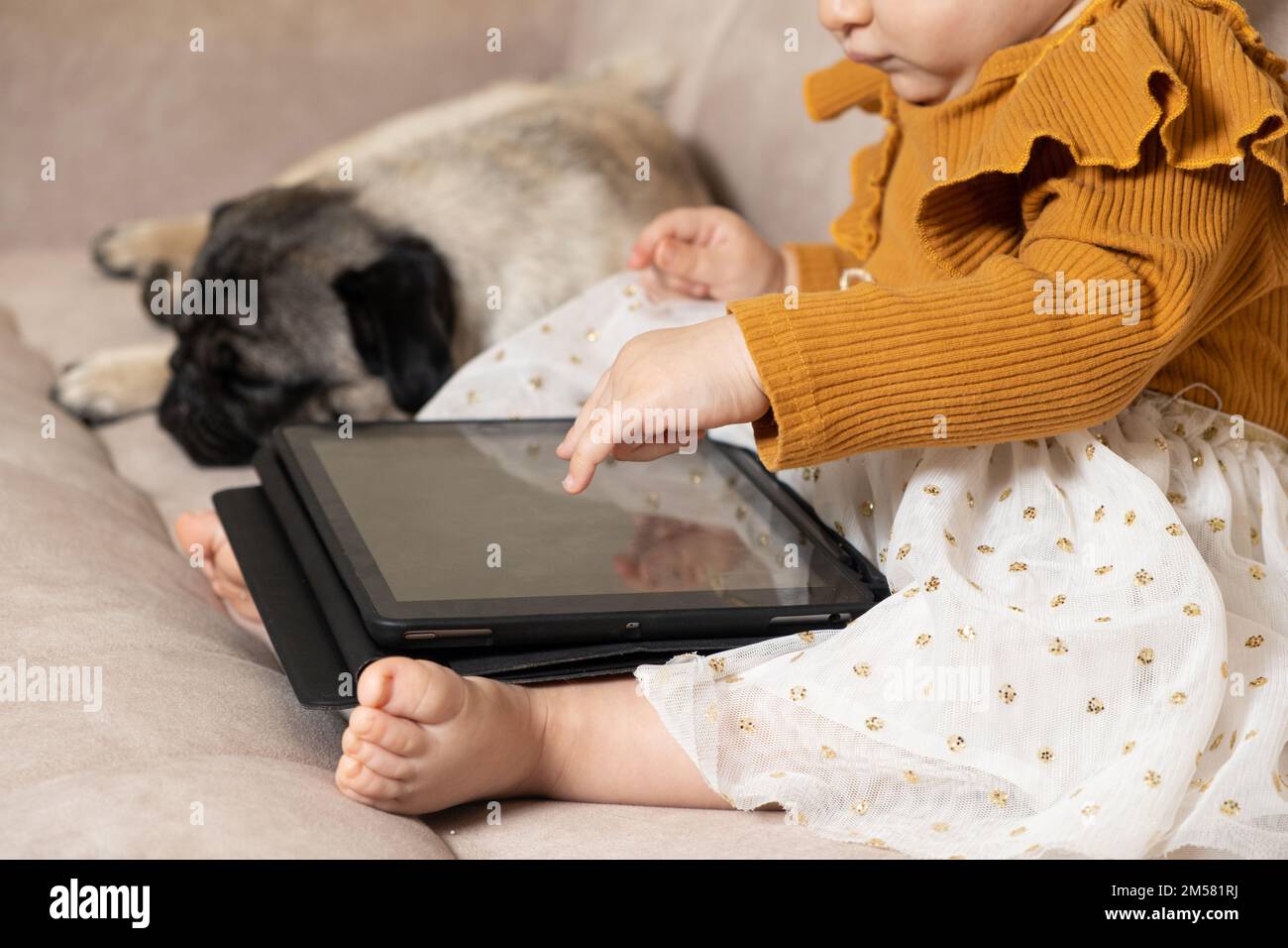 A one-year-old girl with a pug watches cartoons on a tablet sitting on the couch. Gadgets for kids, screen time Stock Photo