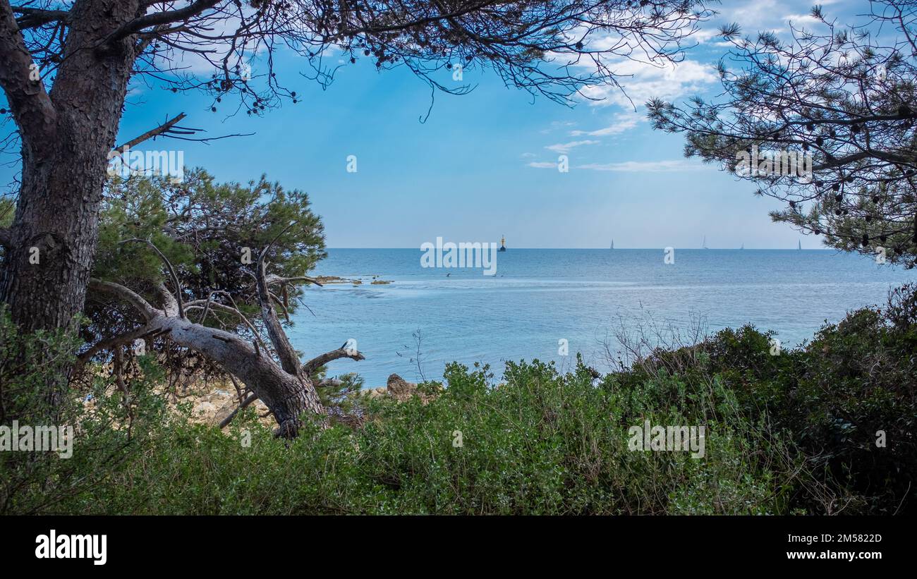 A view framed by pine trees of the the mediterranean sea from the Lerins Island located off the coast of Cannes. Taken on a sunny spring day. Stock Photo