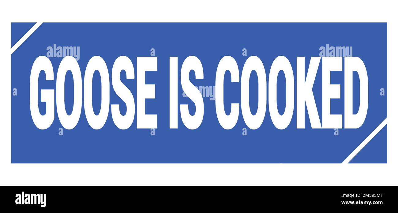 GOOSE IS COOKED text written on blue grungy stamp sign. Stock Photo