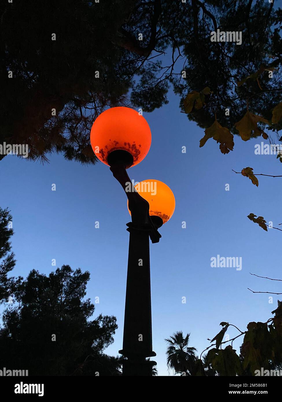 Leaves lit street lamp hi-res stock photography and images - Alamy