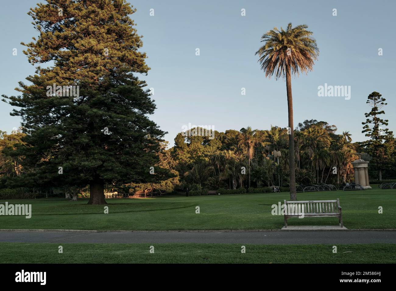 Empty footpath royal botanic hi-res stock photography and images - Alamy