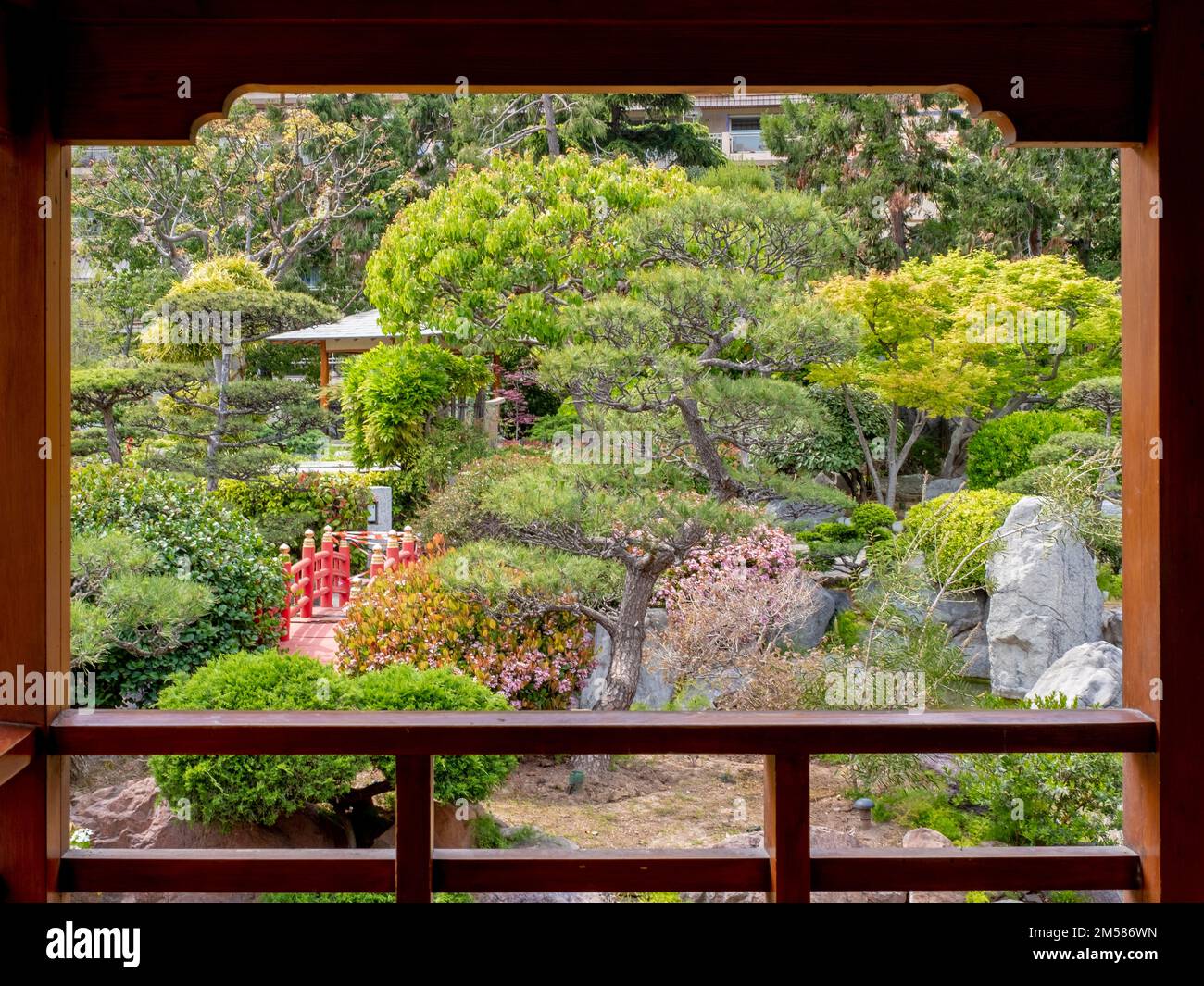 Monaco - May 3, 2022: A picturesque pine tree seen from a wood pavilion of the Japanese garden of Monaco. Taken on a sunny spring day. Stock Photo