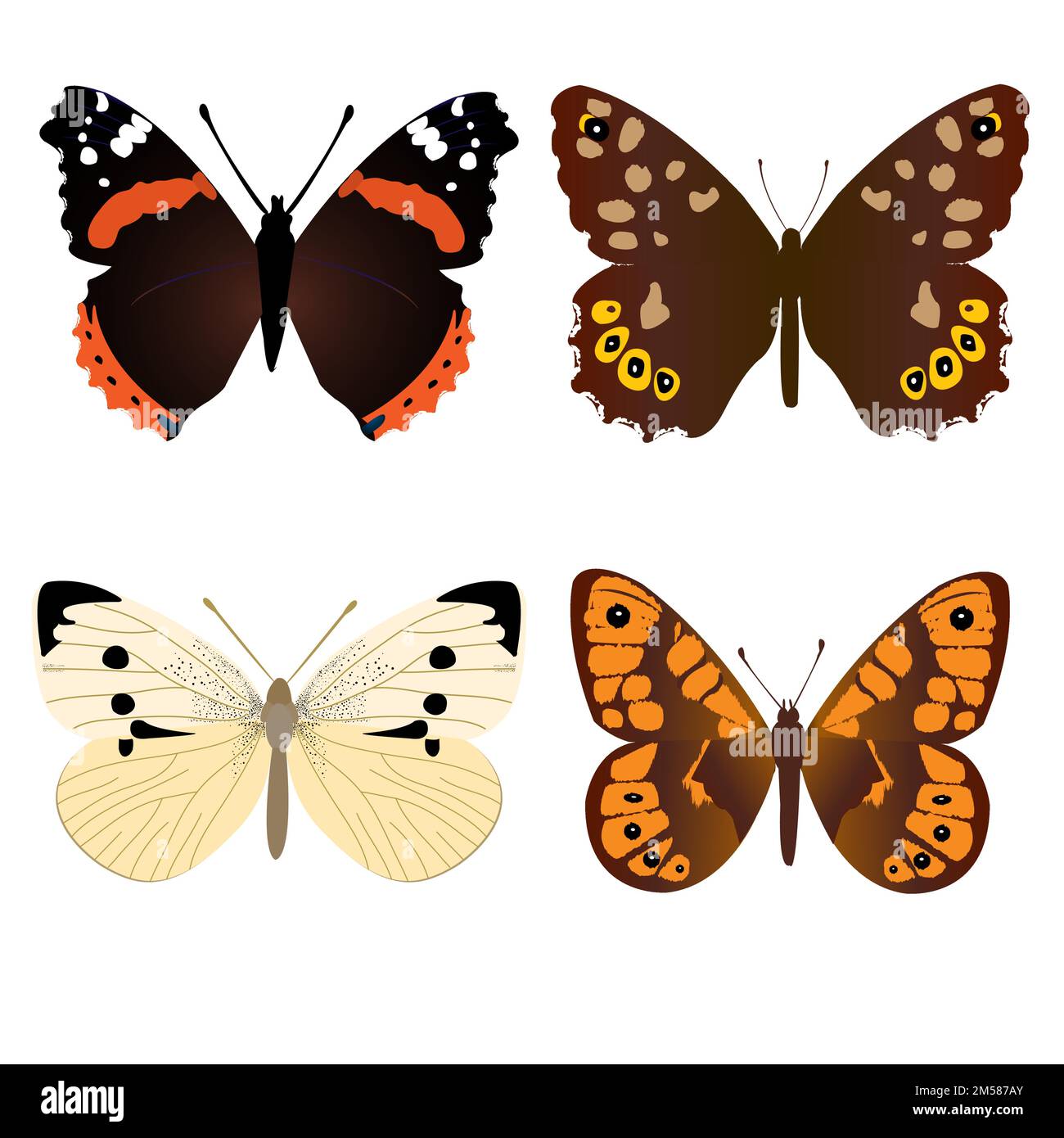 wood-nymph-stock-vector-images-alamy
