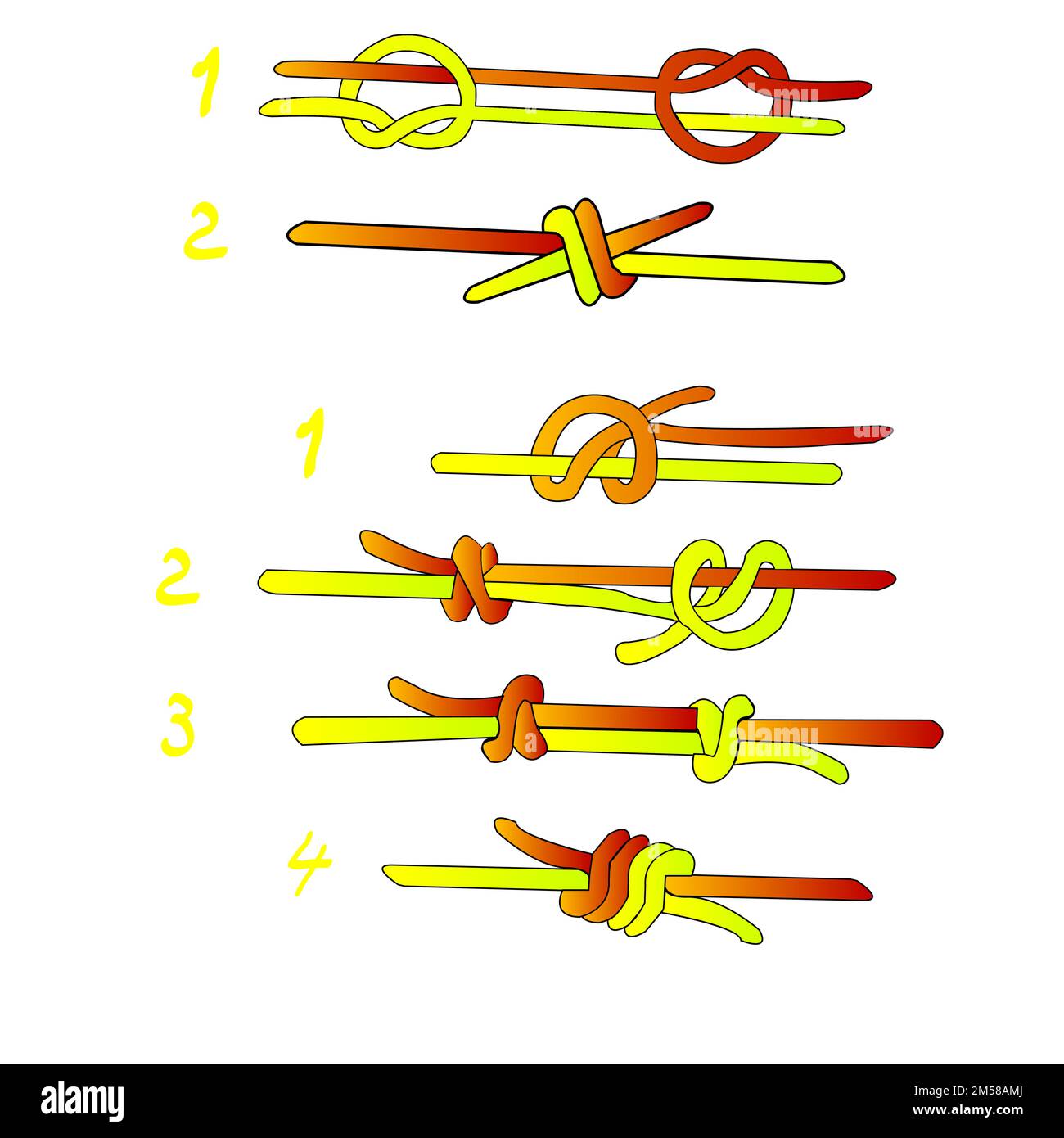 Fisherman`s knot and Double Fisherman`s knot; vector illustration