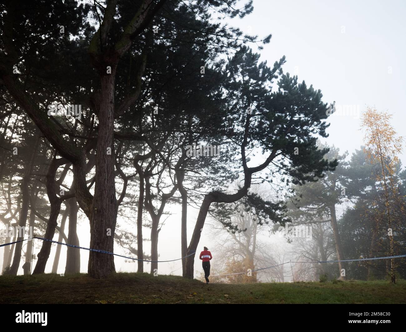 BRITISH ATHLETICS CROSS CHALLENGE. Sefton Park Liverpool 26.11.16. Runners compete in foggy conditions. Stock Photo