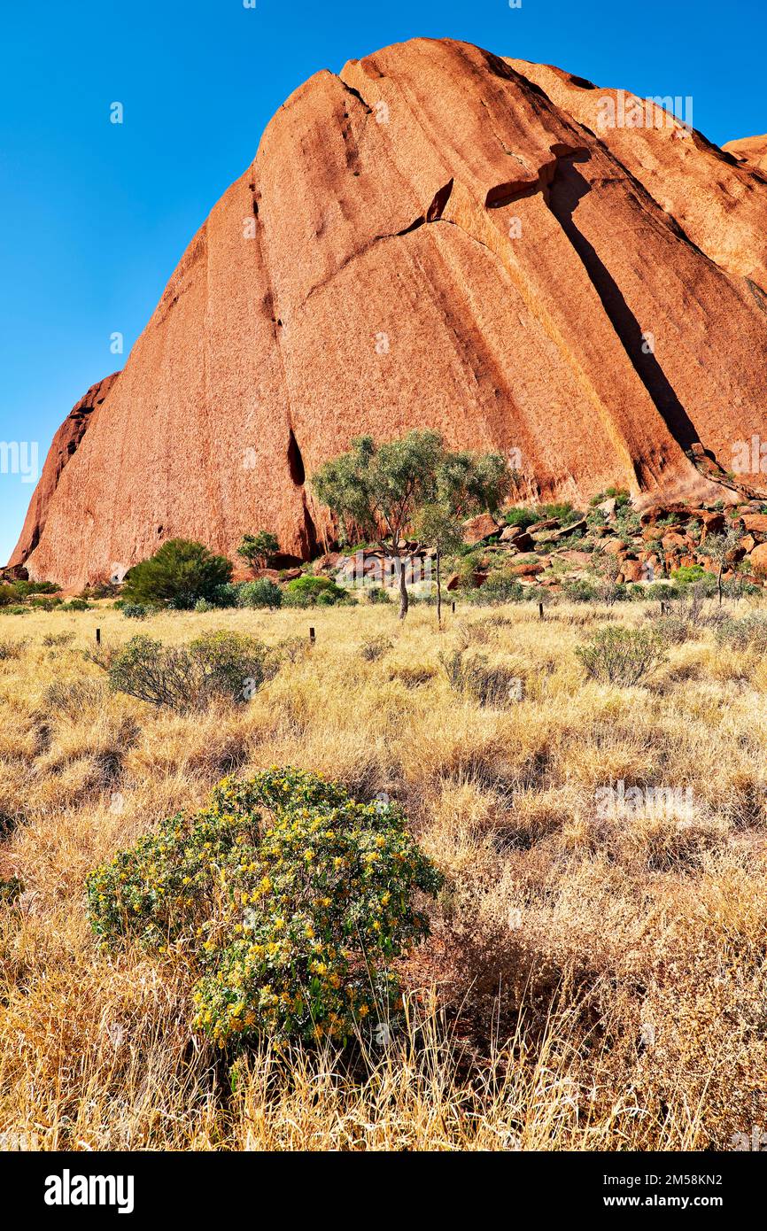 Hiking around Uluru Ayers Rock. Northern Territory. Australia Stock Photo