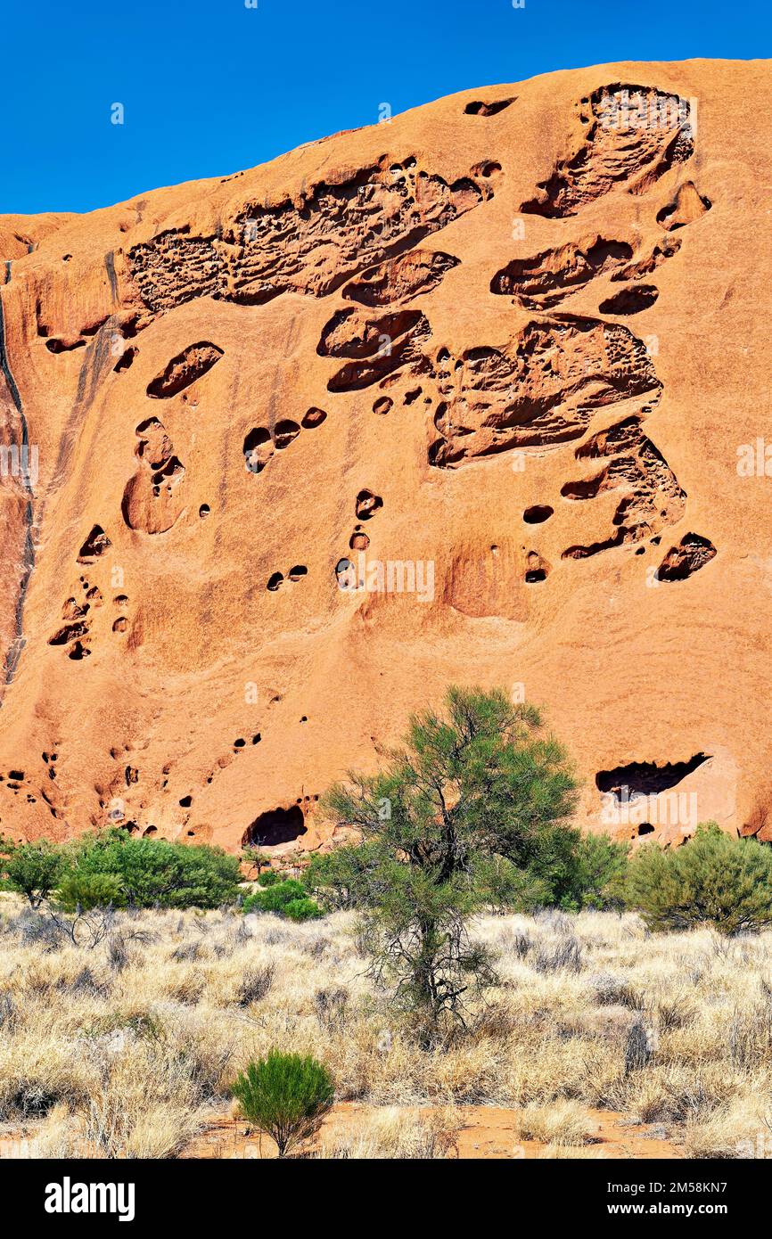 Hiking around Uluru Ayers Rock. Northern Territory. Australia Stock Photo