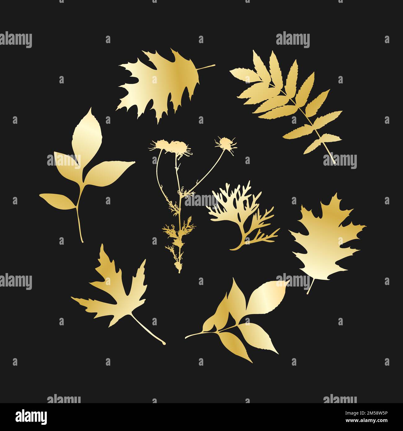 Gold leaves isolated , round set leave and camomile, dark background. Vector illustration Stock