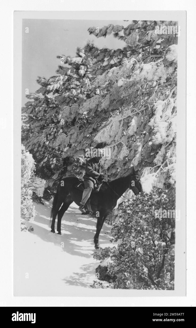 Original caption: 'ECW. Near fence post cutting project '. 1936 - 1942. Pacific Region (Riverside, CA). Photographic Print. Department of the Interior. Office of Indian Affairs. Mission Agency. 11/15/1920-6/17/1946. Photographs Stock Photo