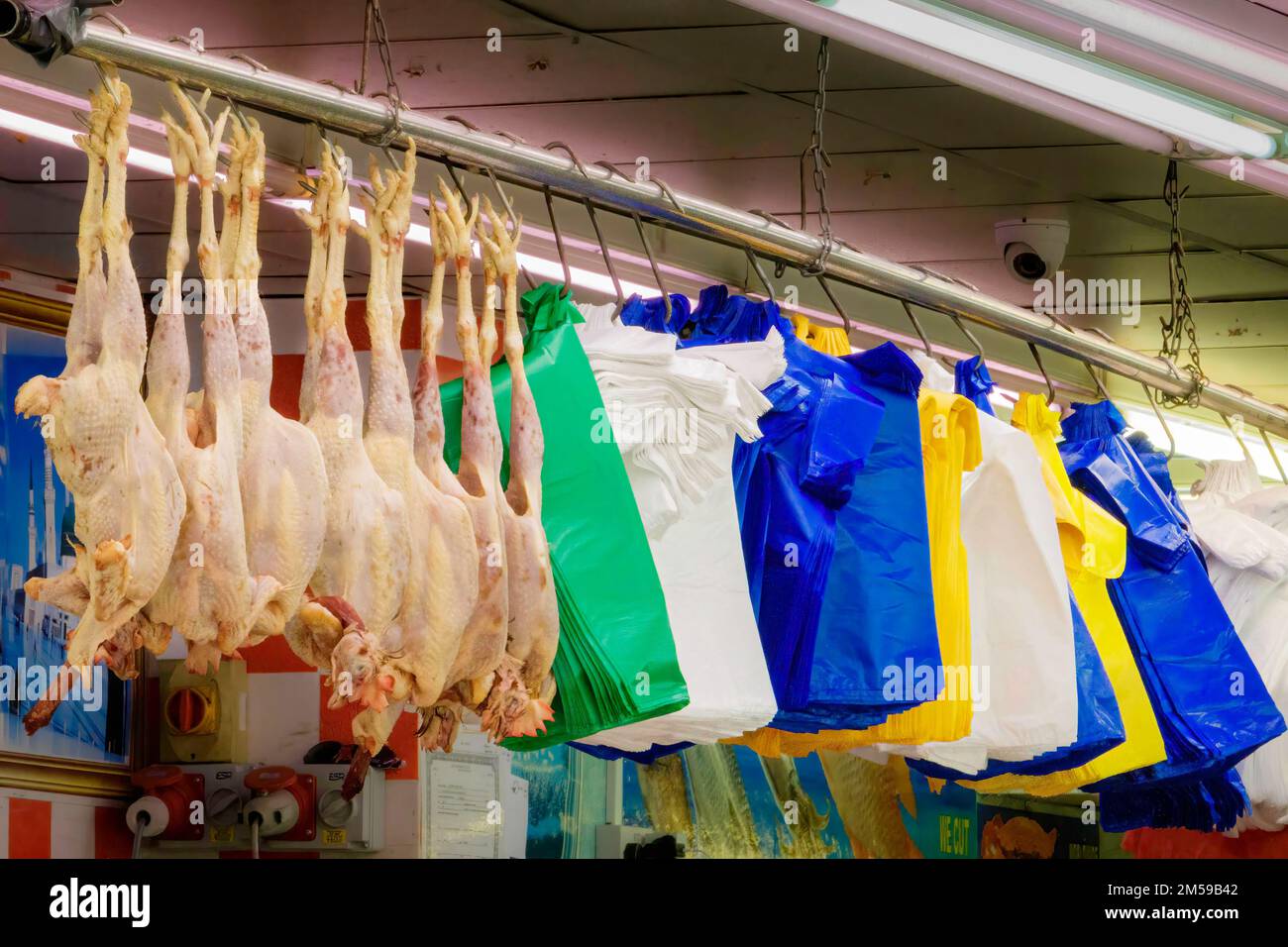 Fresh chicken poultry and plastic bags hanging at a market stall