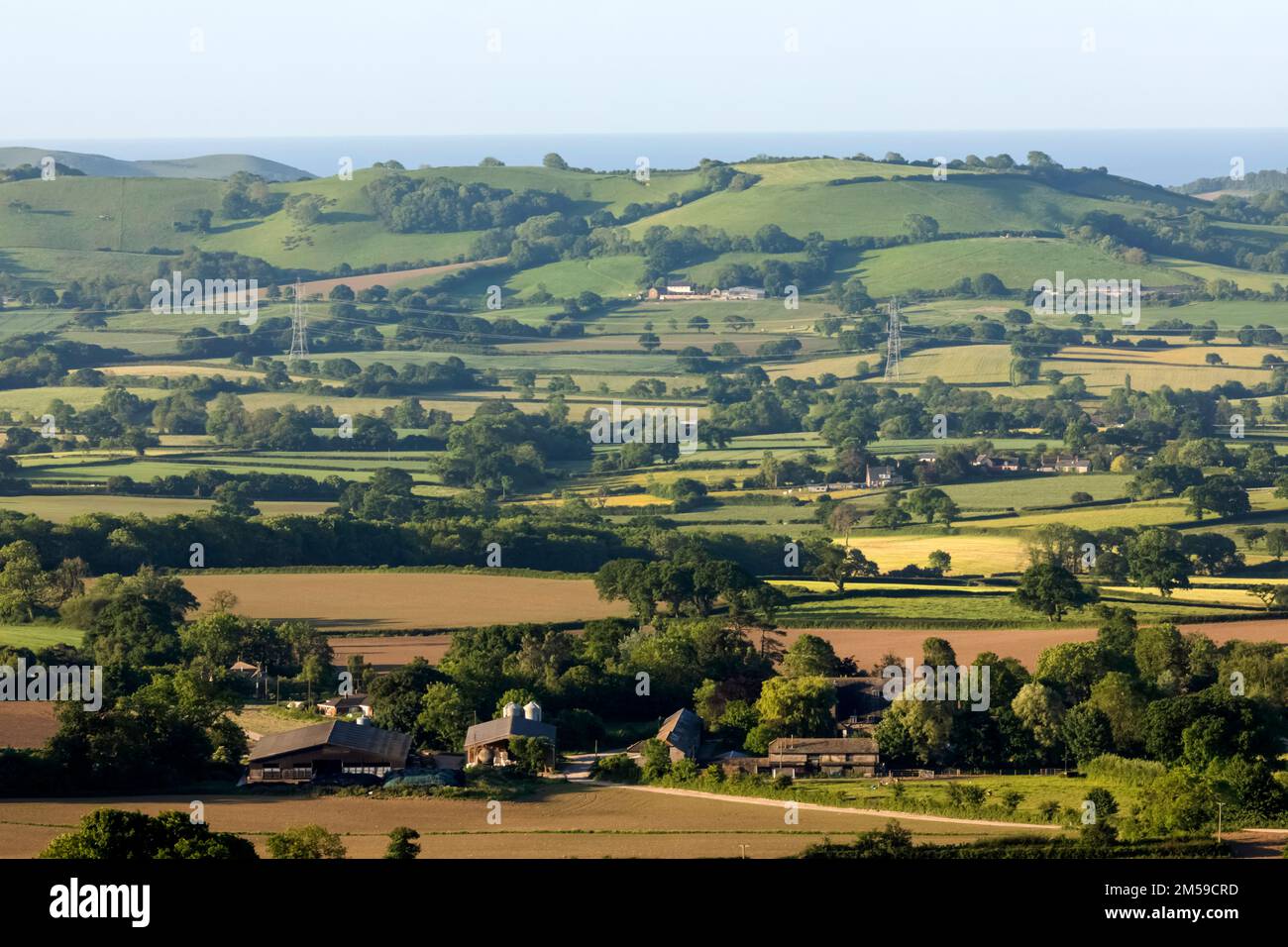 England, Dorset, View of the Dorset Countryside from Pilsdon Pen *** Local Caption ***  Britain,British,Countryside,Dorset,England,English,Farmland,Fi Stock Photo