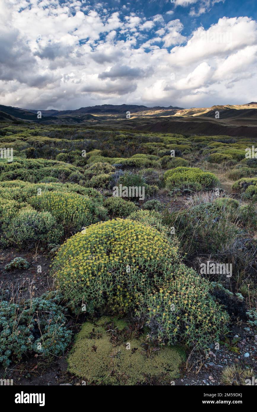 Die Bergwelt bei Chile Chico in Patagonien, Chile. Stock Photo