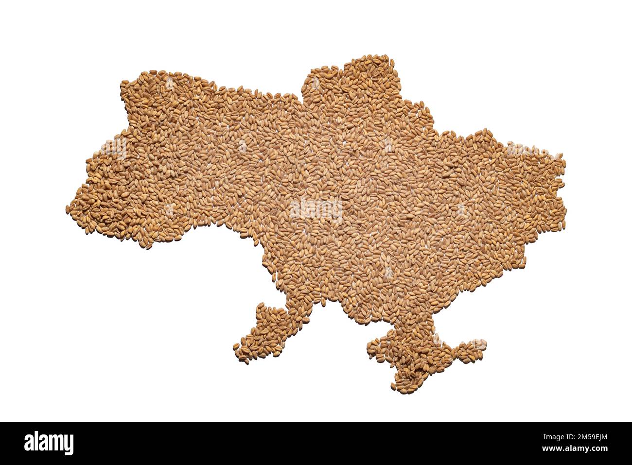 grain on a white background in the shape of a map of Ukraine; in the