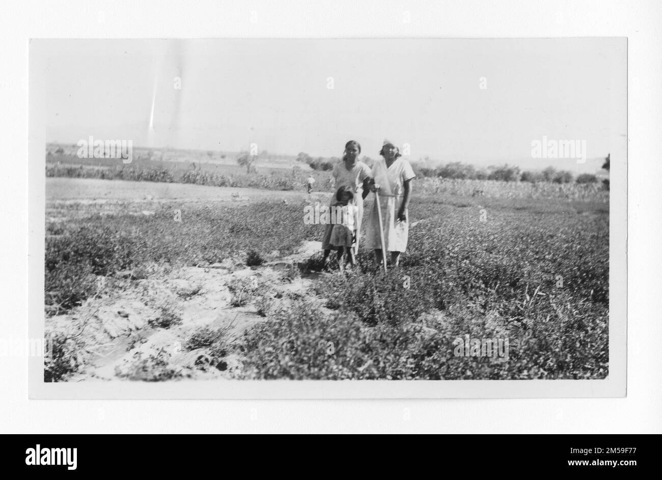 Original caption: 'Soboba - Showing a portion of the farm of Petra Arrietta at Soboba. Corn in the background, alfalfa to the left and beans and other garden produce to the left.'. 1936 - 1942. Pacific Region (Riverside, CA). Photographic Print. Department of the Interior. Office of Indian Affairs. Mission Agency. 11/15/1920-6/17/1946. Photographs Stock Photo