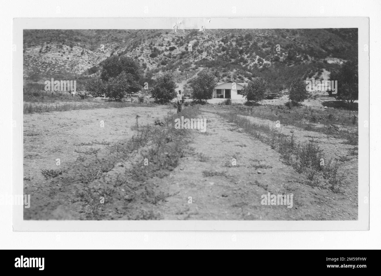 Original caption: 'Henry Mathew's home. Young orchard of cherries and peaches in foreground.'. 1936 - 1942. Pacific Region (Riverside, CA). Photographic Print. Department of the Interior. Office of Indian Affairs. Mission Agency. 11/15/1920-6/17/1946. Photographs Stock Photo