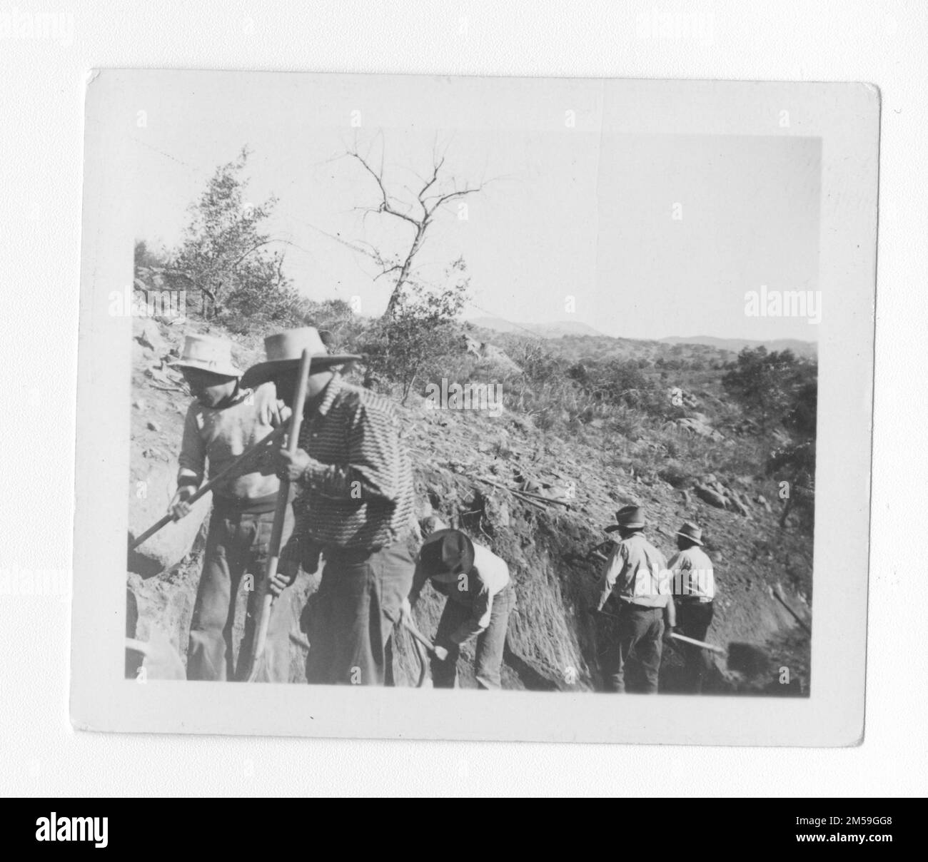 Mesa grande Cut Out Stock Images & Pictures Alamy