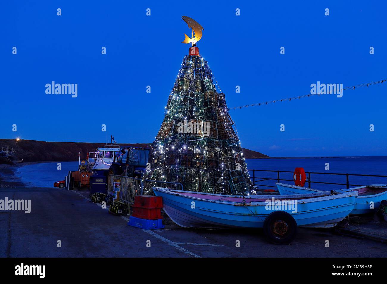 Fishtive tree hi-res stock photography and images - Alamy