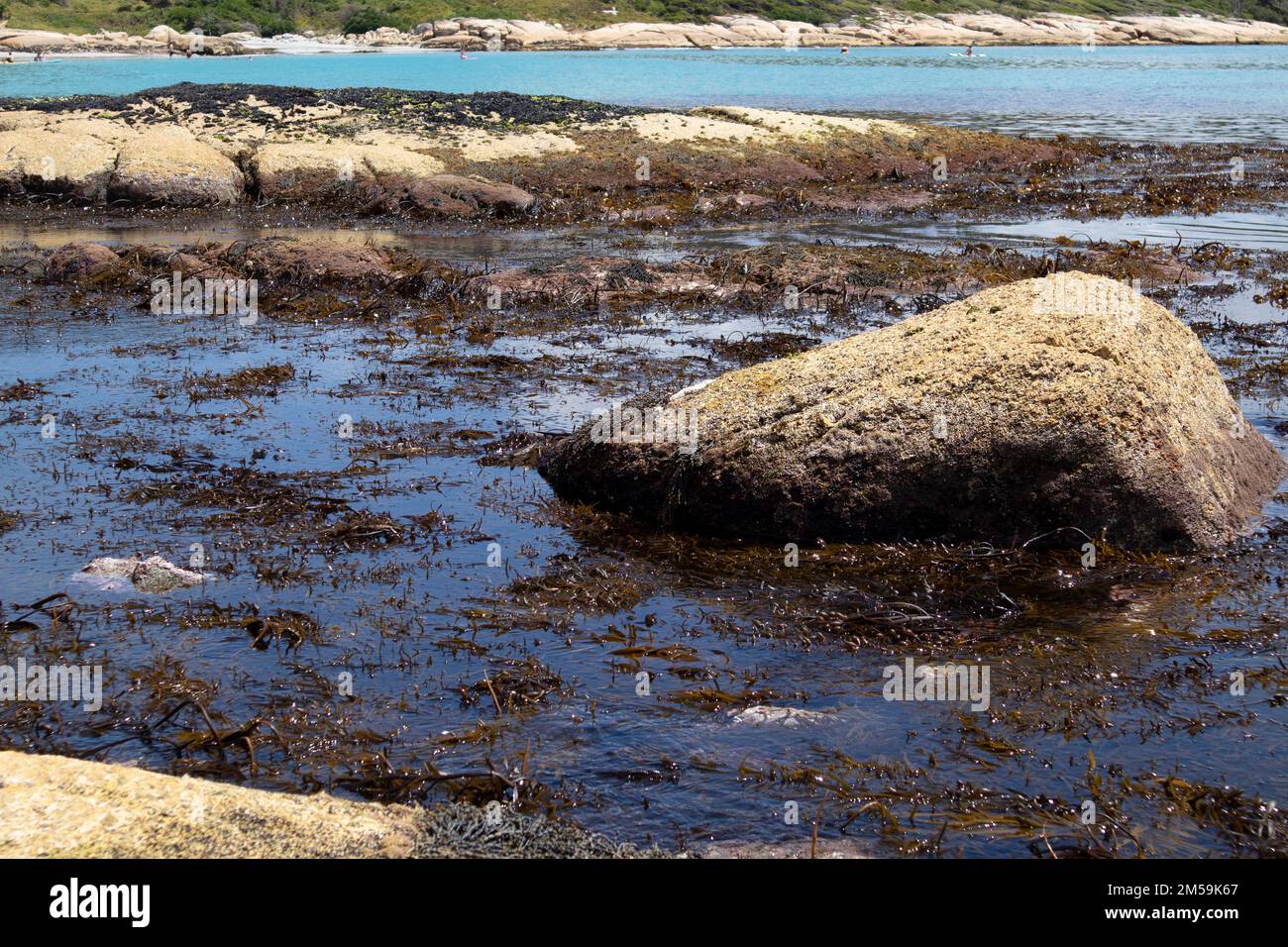 The rocks and sands at Bicheno, on the East Coast of Tasmania ...