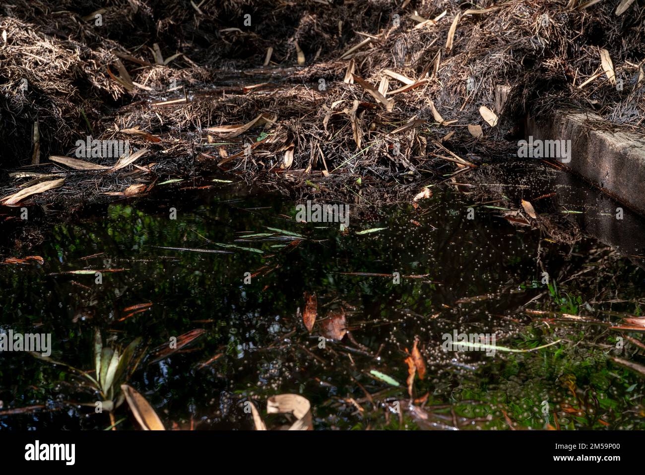 Compost pile in the garden. Compost build healthy soil. Organic