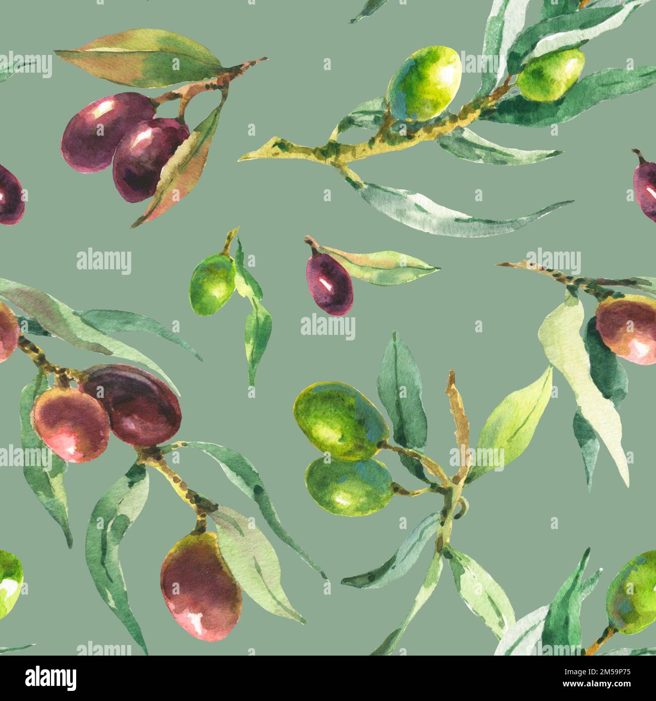 Watercolor seamless pattern of green and black olive branches on a blue ...