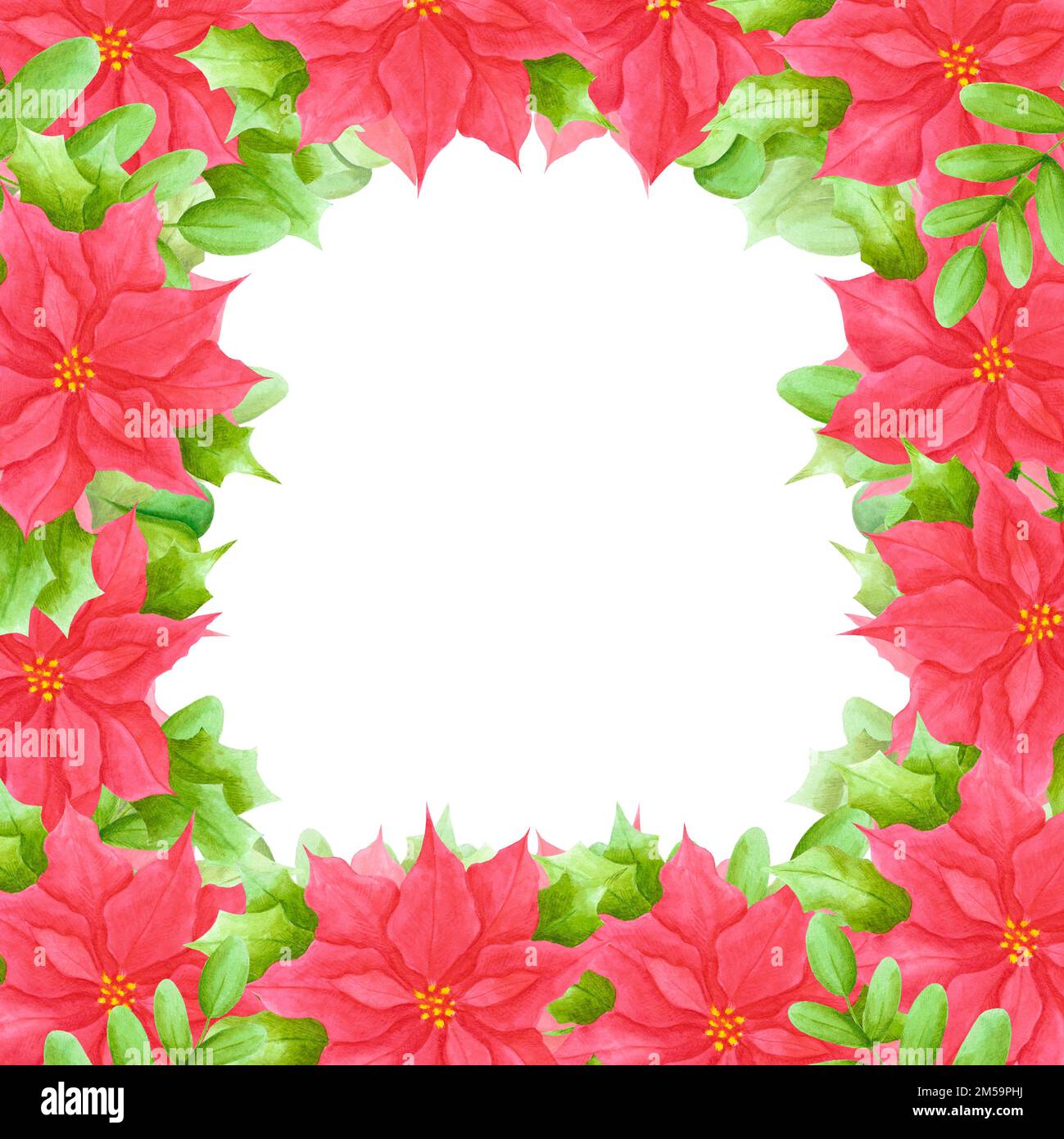Hand drawn watercolor christmas poinsettia boarder. Christmass and New ...