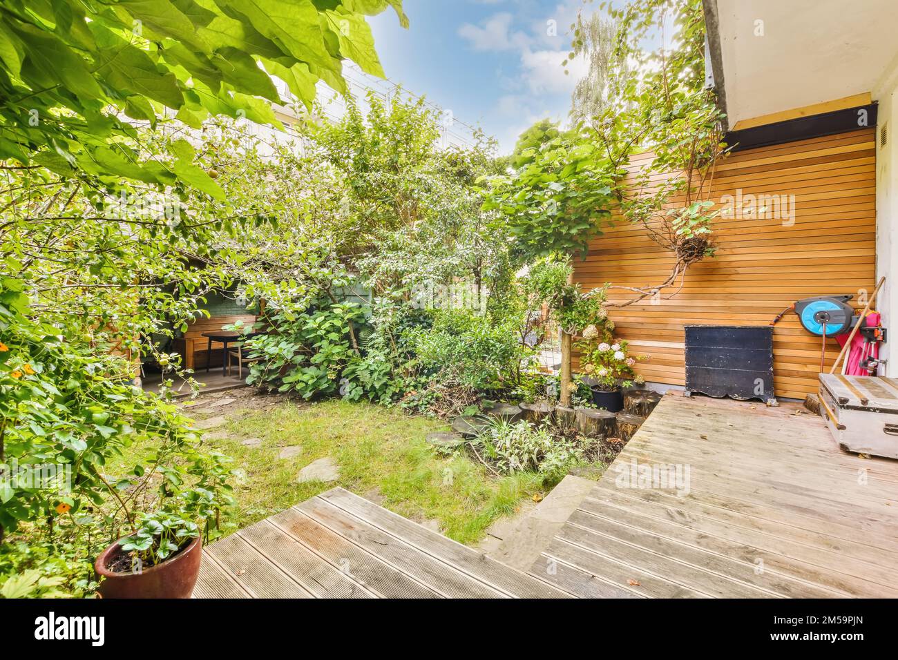 an outdoor area with wooden decking and green plants on the ground