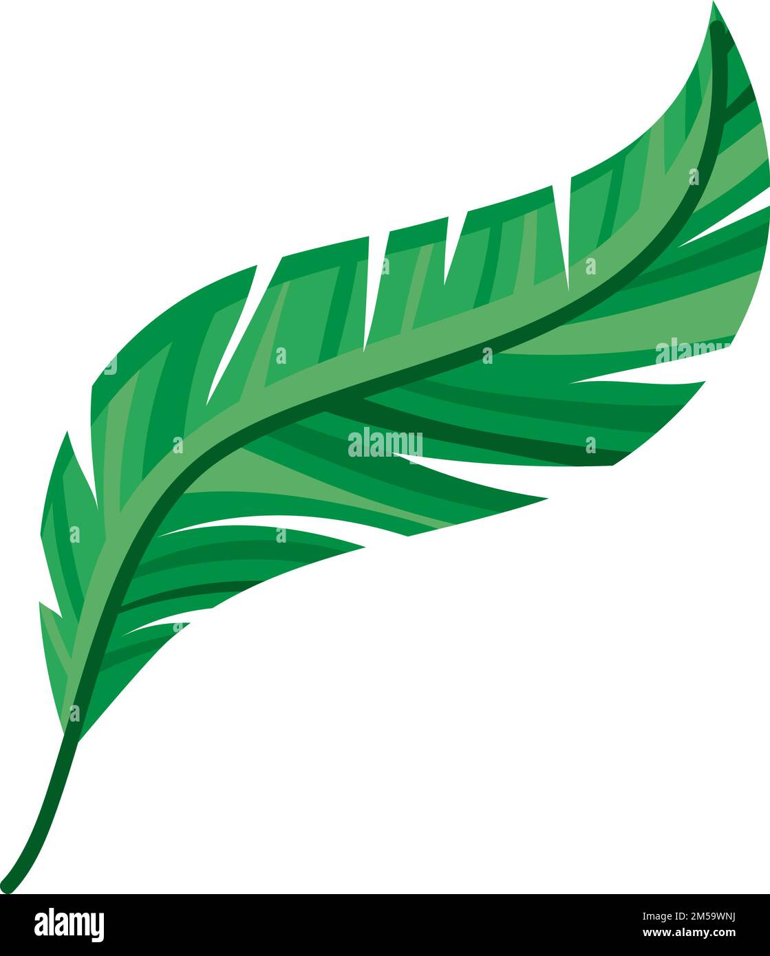 green feather design Stock Vector Image & Art Alamy
