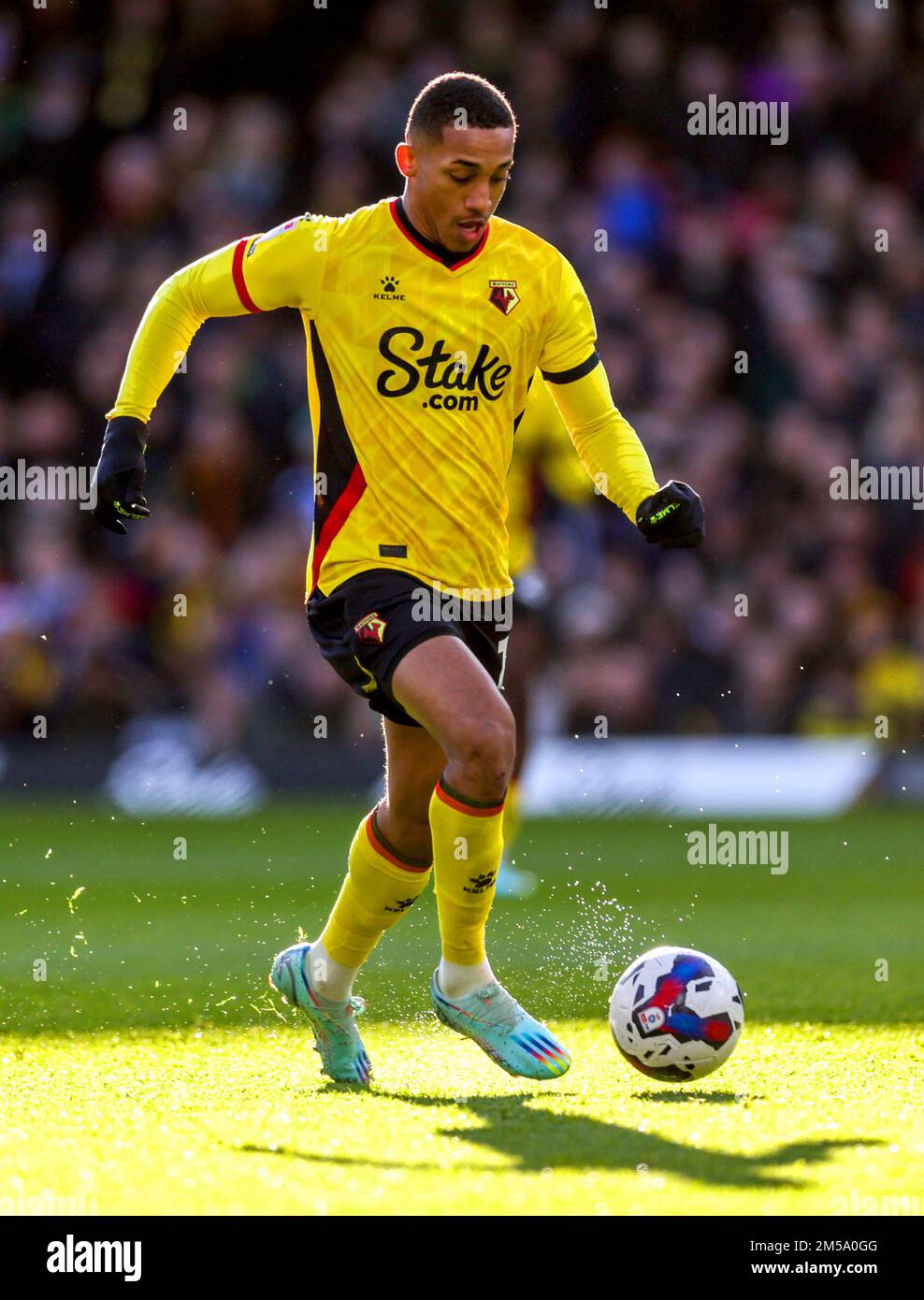 joao-pedro-2022-watford-hi-res-stock-photography-and-images-alamy