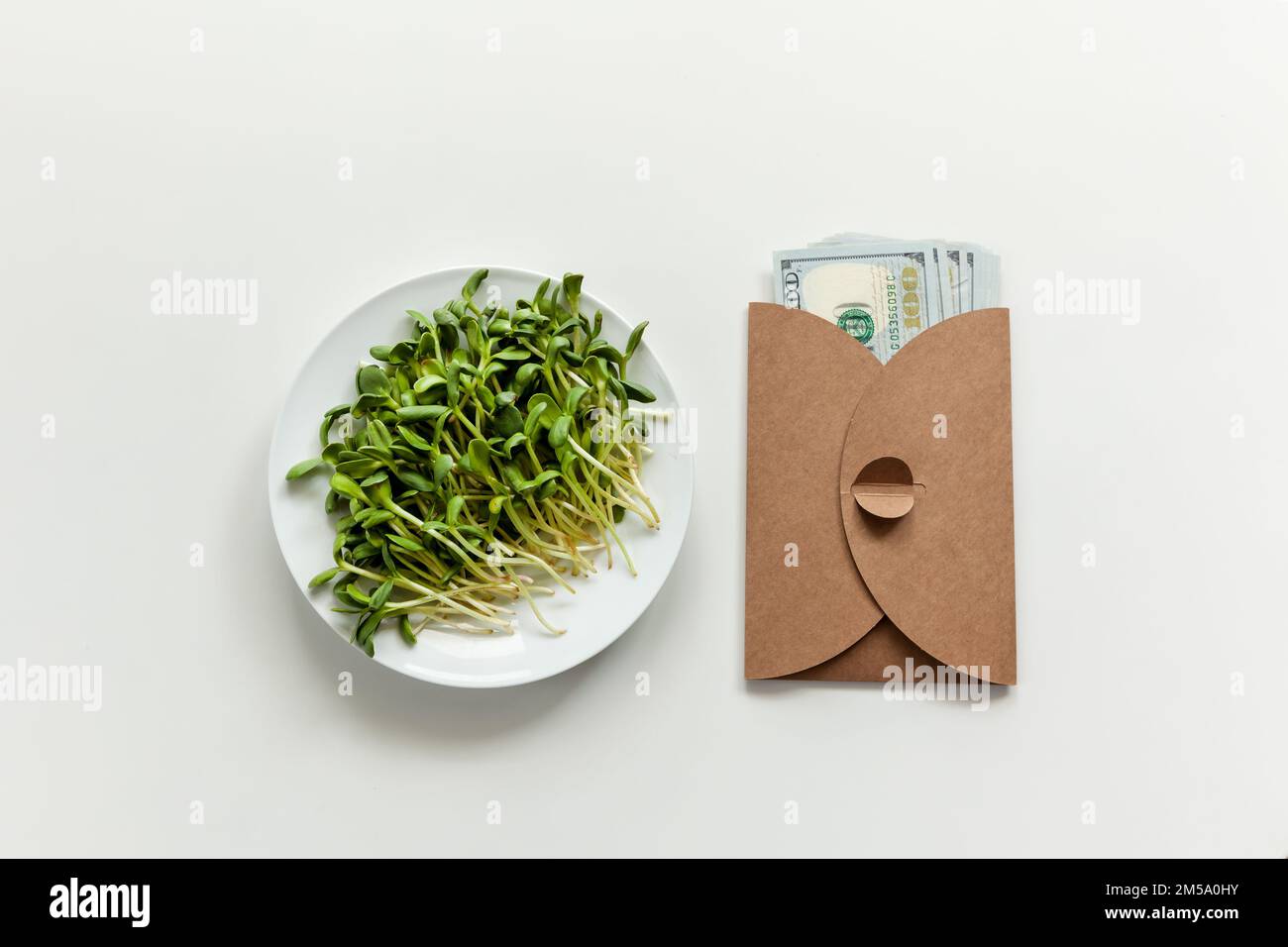 Green sunflower sprouts grown at home, one hundred dollar banknotes on a white background. The ... - Increased Earnings Through Healthy Living