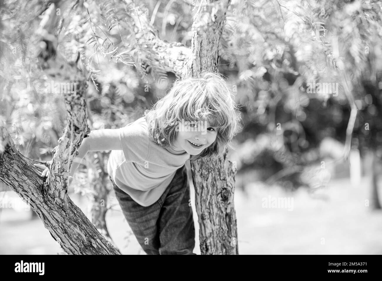 Climbing trees is always fun. Active boy child climb tree. Childhood fun. Summer activities Stock Photo