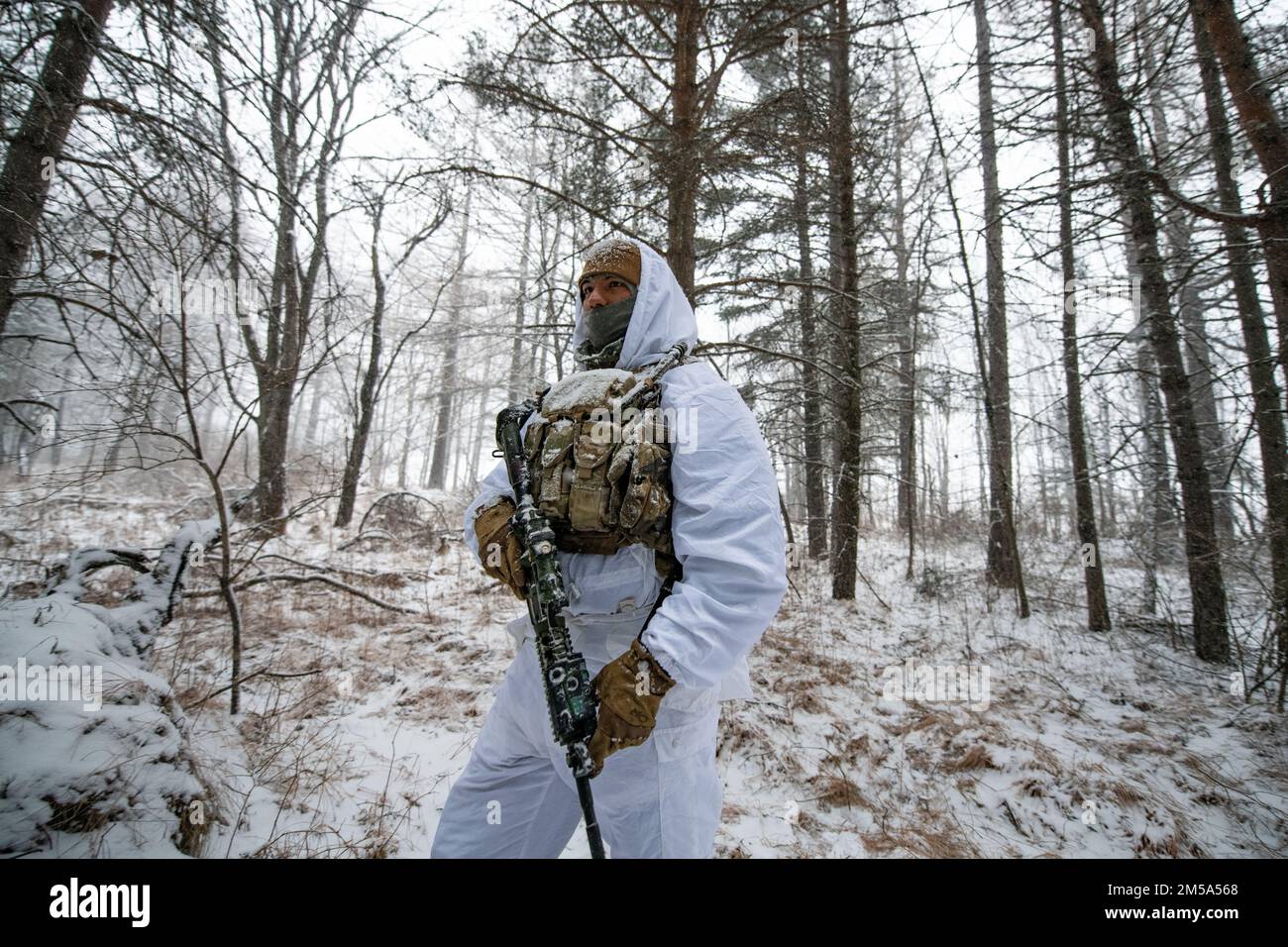 A U.S. Army paratrooper assigned to 1st Battalion, 503rd Parachute Infantry Regiment moves in a fire team wedge through the woods while conducting an integrated procedure familiarization alongside Italian soldiers from the 3rd Alpini Regiment. This training is part of Exercise Steel Blizzard at Pian dell’Alpe in Usseaux, Italy on Feb. 14, 2022.     Exercise Steel Blizzard is an Italian Army-hosted multinational mountain and arctic warfare training exercise. Three reconnaissance platoons from the 173rd Airborne Brigade take part in a three-phase training regimen with the 3rd Alpini Regiment to Stock Photo