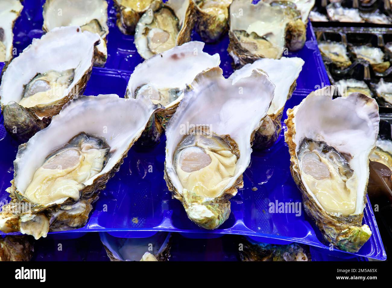 Sydney. New South Wales. Australia. The Fish Market. Jumbo Pacific
