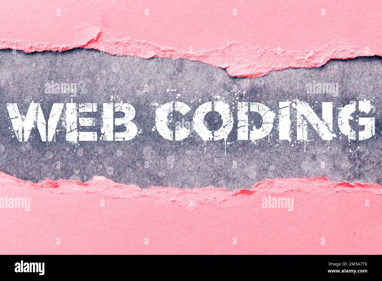 Sign displaying Web Coding. Internet Concept work involved in developing a web site for the Internet Stock Photo